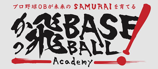 かっ飛BASE！BALL Academy